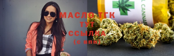 гашик Дмитриев