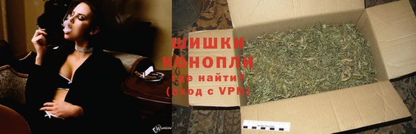 стафф Дмитров