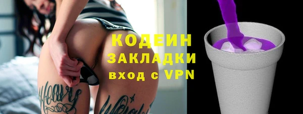 гашик Дмитриев