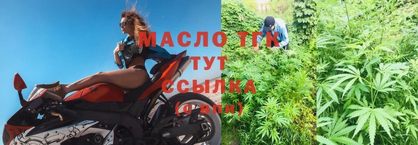 гашик Дмитриев
