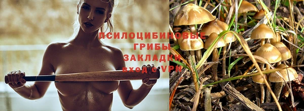 спиды Дмитровск