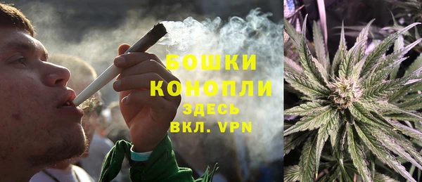 стафф Дмитров