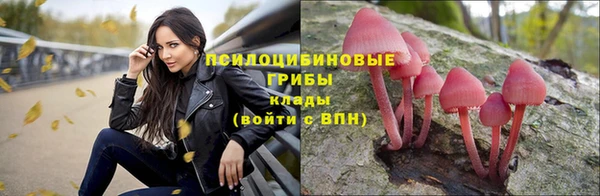 гашик Дмитриев